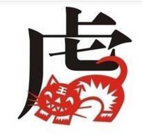 什么生肖做事武断 井井有条的做事情