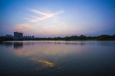什么生肖利字当头 只重视利益的生肖