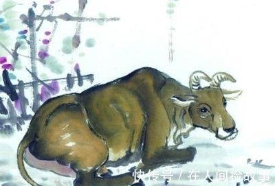 什么生肖勇往直前 勇敢前进的是哪些生肖