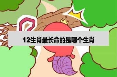 什么生肖命长的 最长命的是哪几个生肖