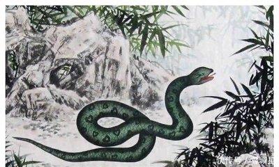 什么生肖和蛇相配 属蛇人最配的生肖
