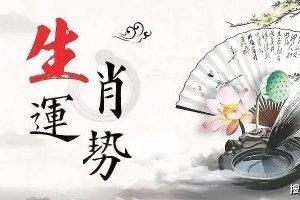 1961年生肖属什么2025年运势如何