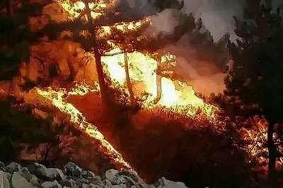 做梦梦见山林起火 山中起火是什么意思