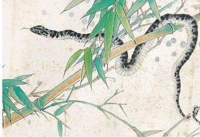 什么生肖是守财奴 一生都守着钱财的生肖