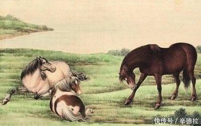 什么生肖是无脑的 做事不喜欢动脑的生肖