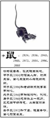 1984年11月3日下午15-17点出生性格、运势和命运