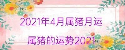 什么生肖的懒惰 最懒的是哪几个生肖