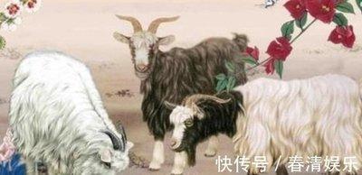 什么生肖的懒惰 最懒的是哪几个生肖