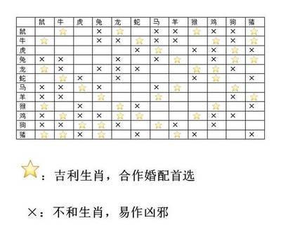 什么生肖算计 爱算计他人的生肖是哪几个