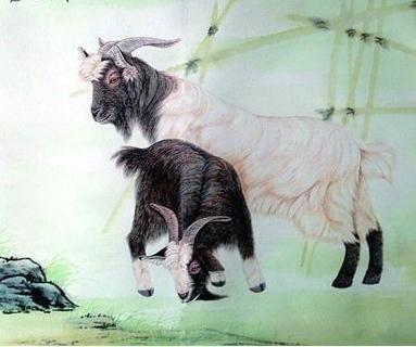 什么生肖让人看不起 经常被人看不起的生肖 什么生肖让人看不起 经常被人看不起的生肖