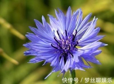 什么生肖越老越有钱 晚年很多钱花的生肖