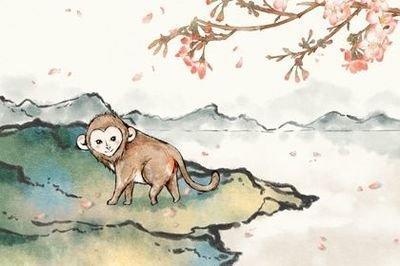 你想知道属猴人一生的命运吗 属猴人的运势如何