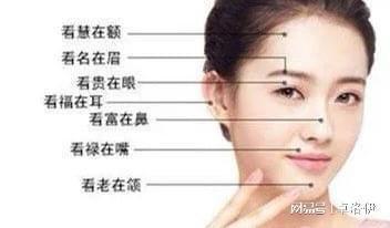 什么面相女孩旺夫 能旺夫的女人面相有这三类