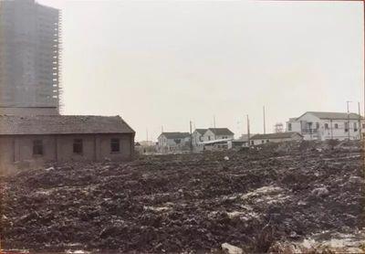1988年3月24日下午13-15点出生性格、运势和命运