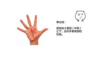 你的事业可以取得什么成就从手相上就可看出是不是真的