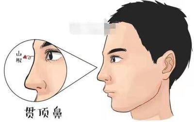 什么面相有财气  哪些人容易发财