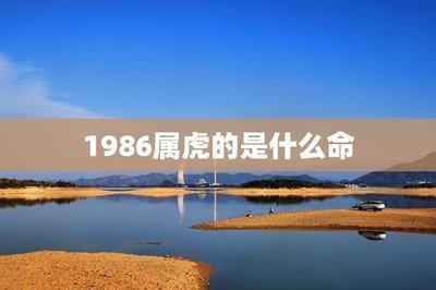 你知道1988年是什么命 命运好不好 你知道1988年是什么命 命运好不好