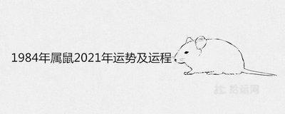1984年2025年的运气 运气好不好取决于什么