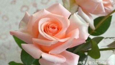 2025年爱情开花结果的生肖 婚姻运势极佳