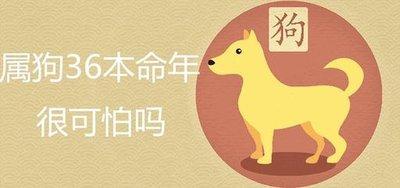 2025年犯太岁容易招灾的生肖 如何化解灾祸