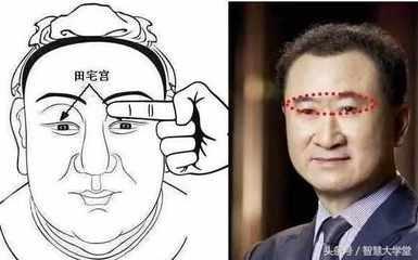 什么面相的人非常有钱越来越富贵