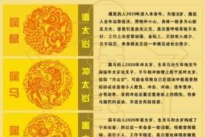 2025年犯太岁能否结婚 蛇年什么生肖犯太岁_