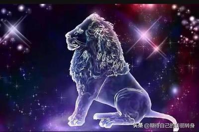2025年狮子座运势看财运 狮子座的财运值如何