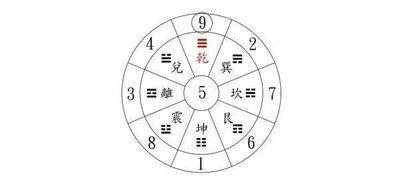 2025年猪五行属什么 五行属什么