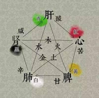 2025年猪五行属什么 五行属什么