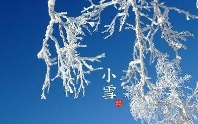 2025年猪宝宝缺金名字女孩 起名注意哪些事项