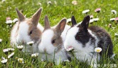 1984年3月15日晚上19-21点出生性格、运势和命运 1984年3月15日晚上19-21点出生性格、运势和命运