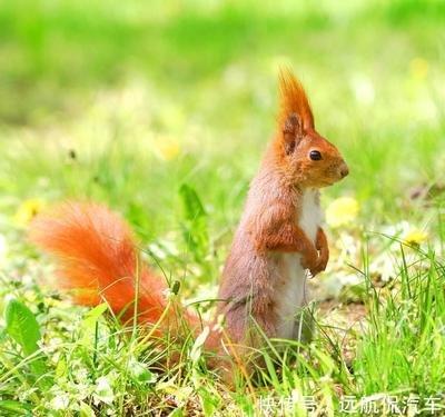 2026年9月里生肖鼠几号财运最好 会有横财进账 2026年9月里生肖鼠几号财运最好 会有横财进账