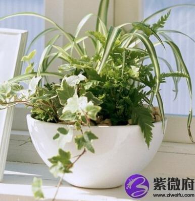 你知道风水学办公桌的摆放有什么讲究吗