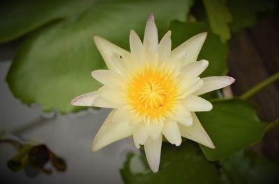 2026年9月里生肖龙几号财运最好 会有横财进账