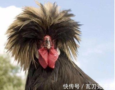 1984年3月28日下午13-15点出生性格、运势和命运