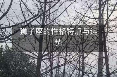 1984年4月12日晚上23-24点出生性格、运势和命运