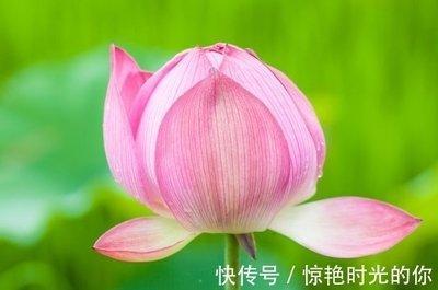 2025年七月桃花旺盛的生肖 感情方面会有好发展