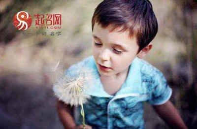使用有着草字头的字作为名字时需要注意哪些