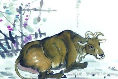 2025年生肖牛催旺财运的有效方法