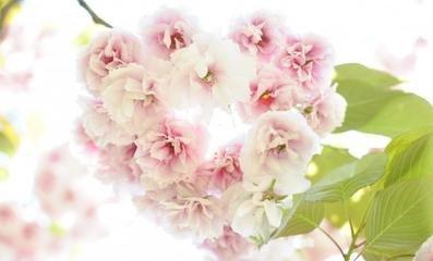 2025年生肖牛几月桃花运最旺 脱单希望最大