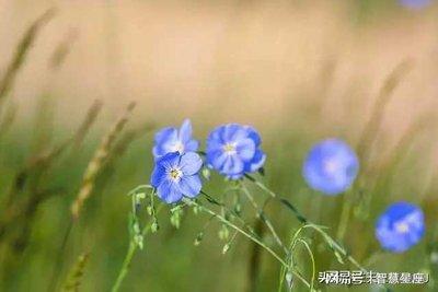 依靠自己的奋斗这些生肖可以收获富贵