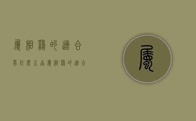 什么颜色招财并聚财(属鸡什么颜色招财并聚财)