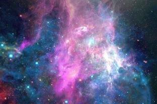保加利亚·嘉珊2025年12月十二星座运势