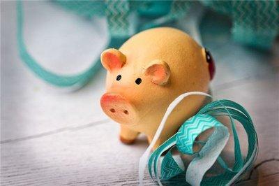 2025年生肖猪几月财运最旺 有机会发大财