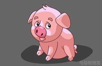 2025年生肖猪是否能转运 哪方面运势最好