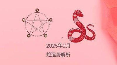 2025年下半年十二生肖运势整体情况
