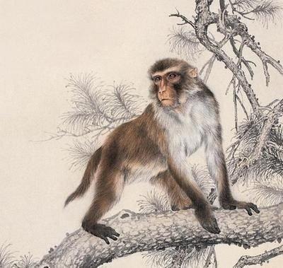 2025年生肖猴财运最旺盛的几个月份