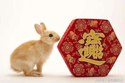 今年什么生肖容易添丁 2025年有添丁之喜