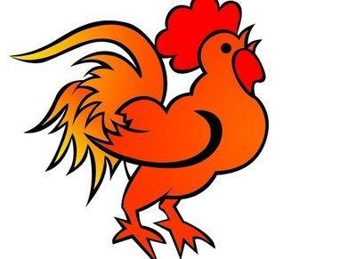 2025年下半年属鸡人运势整体情况