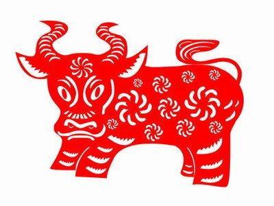 今年属牛的命运好不 属牛人2025年运气如何